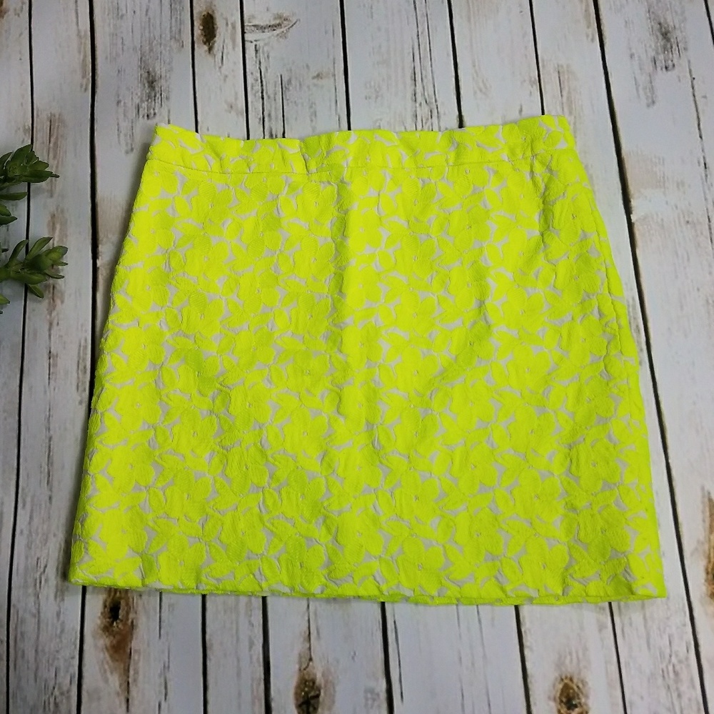 J. Crew Factory Embroidered Floral Mini Skirt